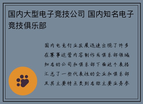 国内大型电子竞技公司 国内知名电子竞技俱乐部